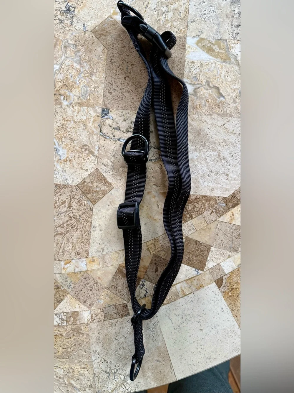 Hands free dog leash